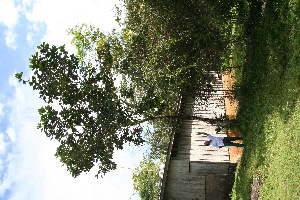  ( - BioBot05049)  @11 [ ] Copyright (2010) Unspecified Unspecified