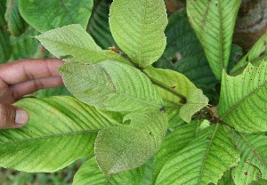  ( - BioBot05049)  @11 [ ] Copyright (2010) Unspecified Unspecified