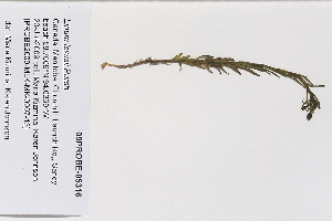  ( - 09PROBE-05316)  @11 [ ] Copyright (2010) Unspecified Unspecified
