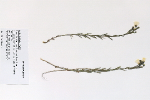  ( - 09PROBE-05507)  @11 [ ] Copyright (2010) Unspecified Unspecified