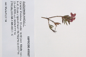  ( - 09PROBE-05567)  @11 [ ] Copyright (2010) Unspecified Unspecified