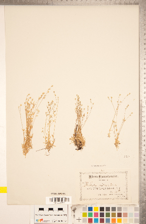  ( - CCDB-18302-D01)  @11 [ ] Copyright (2015) Deb Metsger Royal Ontario Museum