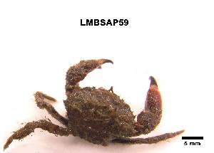 ( - LMBSAP15-003)  @13 [ ] Unspecified (default): All Rights Reserved  Unspecified Unspecified