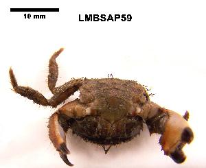  ( - LMBSAP15-003)  @13 [ ] Unspecified (default): All Rights Reserved  Unspecified Unspecified