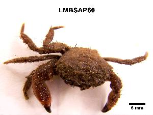  ( - LMBSAP15-004)  @13 [ ] Unspecified (default): All Rights Reserved  Unspecified Unspecified