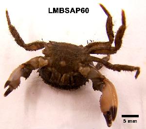  ( - LMBSAP15-004)  @13 [ ] Unspecified (default): All Rights Reserved  Unspecified Unspecified