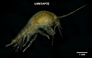  ( - LMBSAP14-002)  @11 [ ] Unspecified (default): All Rights Reserved  Unspecified Unspecified