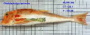  ( - MLFPI268)  @11 [ ] Unspecified (default): All Rights Reserved  Unspecified Unspecified