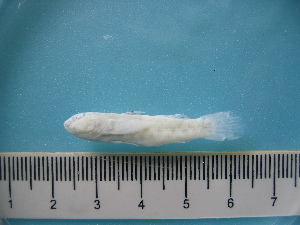 ( - MFL 1030)  @12 [ ] Unspecified (default): All Rights Reserved  Unspecified Unspecified