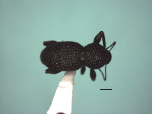 ( - MLPCU0549)  @11 [ ] Unspecified (default): All Rights Reserved  Unspecified Unspecified