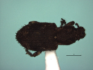  ( - MLPCU0551)  @11 [ ] Unspecified (default): All Rights Reserved  Unspecified Unspecified