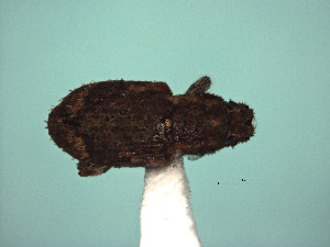  ( - MLPCU0552)  @11 [ ] Unspecified (default): All Rights Reserved  Unspecified Unspecified