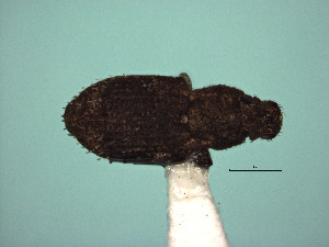  ( - MLPCU0553)  @11 [ ] Unspecified (default): All Rights Reserved  Unspecified Unspecified
