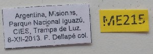  ( - ME215)  @11 [ ] No Rights Reserved (2018) Eugenia Minghetti Museo de La Plata
