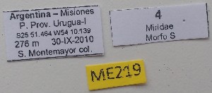  ( - ME219)  @11 [ ] No Rights Reserved (2018) Eugenia Minghetti Museo de La Plata