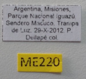  ( - ME220)  @11 [ ] No Rights Reserved (2018) Eugenia Minghetti Museo de La Plata