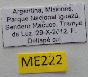  ( - ME222)  @11 [ ] No Rights Reserved (2018) Eugenia Minghetti Museo de La Plata