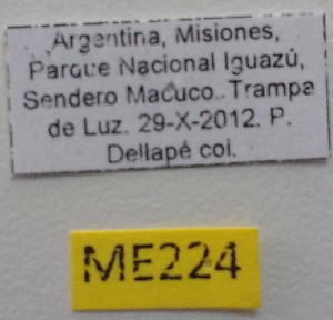  ( - ME224)  @11 [ ] No Rights Reserved (2018) Eugenia Minghetti Museo de La Plata