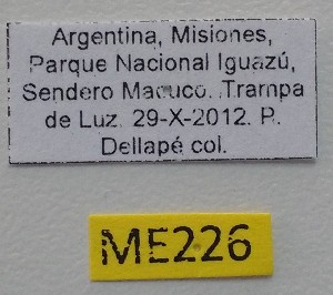  ( - ME226)  @11 [ ] No Rights Reserved (2018) Eugenia Minghetti Museo de La Plata