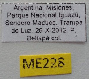  ( - ME228)  @11 [ ] No Rights Reserved (2018) Eugenia Minghetti Museo de La Plata