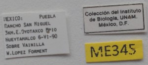  ( - ME345)  @11 [ ] No Rights Reserved (2018) Eugenia Minghetti Museo de La Plata