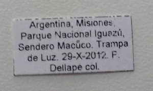  ( - ME370)  @11 [ ] No Rights Reserved (2018) Eugenia Minghetti Museo de La Plata