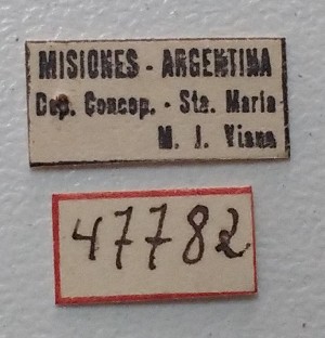  ( - ME396)  @11 [ ] No Rights Reserved (2018) Eugenia Minghetti Museo de La Plata