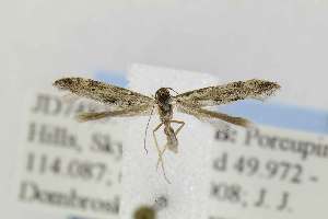  ( - JD7483)  @12 [ ] Copyright (2011) Jean-Francois Landry Canadian National Collection