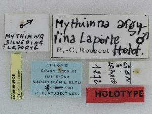  (Leucania argyrina - CCDB-09453-F11)  @11 [ ] CreativeCommons - Attribution Non-Commercial Share-Alike (2014)  Muséum national d'Histoire naturelle  Muséum national d'Histoire naturelle