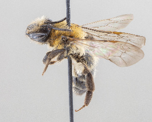  ( - DRP06969)  @11 [ ] CreativeCommons - Attribution Non-Commercial Share-Alike  Unspecified Unspecified