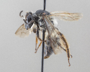  ( - DRP07142)  @11 [ ] CreativeCommons - Attribution Non-Commercial Share-Alike  Unspecified Unspecified