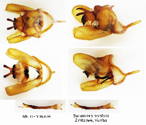  ( - BC-MN0075)  @11 [ ] Copyright (2023) Unspecified Research Collection of Mike Newport