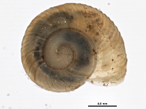  ( - BIOUG02457-G04)  @14 [ ] CreativeCommons - Attribution (2012) CBG Photography Group Centre for Biodiversity Genomics