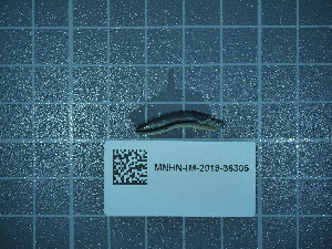  ( - 2024_279)  @11 [ ] CreativeCommons - Attribution Non-Commercial Share-Alike  Unspecified Unspecified