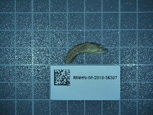  ( - 2024_287)  @11 [ ] CreativeCommons - Attribution Non-Commercial Share-Alike  Unspecified Unspecified