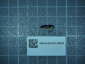  ( - 2024_336)  @11 [ ] CreativeCommons - Attribution Non-Commercial Share-Alike  Unspecified Unspecified