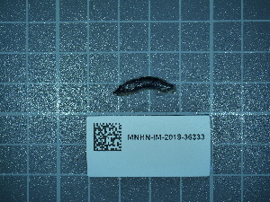  ( - 2024_341)  @11 [ ] CreativeCommons - Attribution Non-Commercial Share-Alike  Unspecified Unspecified