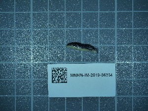  ( - 2024_342)  @11 [ ] CreativeCommons - Attribution Non-Commercial Share-Alike  Unspecified Unspecified