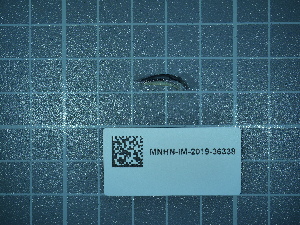  ( - 2024_346)  @11 [ ] CreativeCommons - Attribution Non-Commercial Share-Alike  Unspecified Unspecified