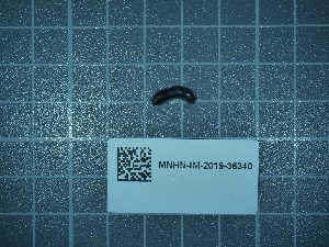  ( - 2024_348)  @11 [ ] CreativeCommons - Attribution Non-Commercial Share-Alike  Unspecified Unspecified