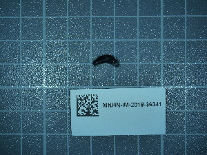  ( - 2024_349)  @11 [ ] CreativeCommons - Attribution Non-Commercial Share-Alike  Unspecified Unspecified