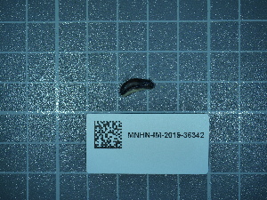  ( - 2024_350)  @11 [ ] CreativeCommons - Attribution Non-Commercial Share-Alike  Unspecified Unspecified