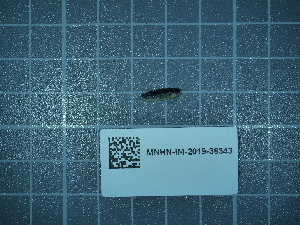  ( - 2024_351)  @11 [ ] CreativeCommons - Attribution Non-Commercial Share-Alike  Unspecified Unspecified