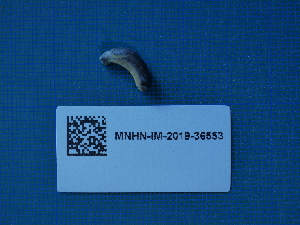  ( - ANS_AF104)  @11 [ ] CreativeCommons - Attribution Non-Commercial Share-Alike  Unspecified Unspecified