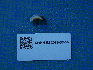  ( - ANS_AF128)  @11 [ ] CreativeCommons - Attribution Non-Commercial Share-Alike  Unspecified Unspecified