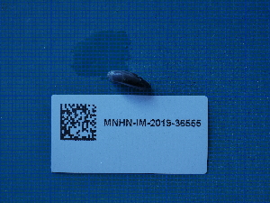  ( - ANS_AF134)  @11 [ ] CreativeCommons - Attribution Non-Commercial Share-Alike  Unspecified Unspecified