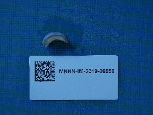  ( - ANS_AF152_1)  @11 [ ] CreativeCommons - Attribution Non-Commercial Share-Alike  Unspecified Unspecified
