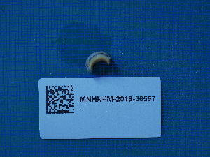  ( - ANS_AFLL1)  @11 [ ] CreativeCommons - Attribution Non-Commercial Share-Alike  Unspecified Unspecified