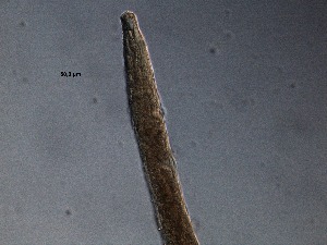  ( - 11C10B12)  @11 [ ] by_nc_nd (2012) Unspecified Ghent University