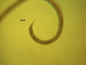  ( - 14C16M12)  @11 [ ] by_nc_nd (2012) Unspecified Ghent University